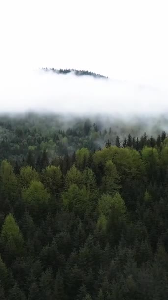 山の霧の垂直ビデオ — ストック動画