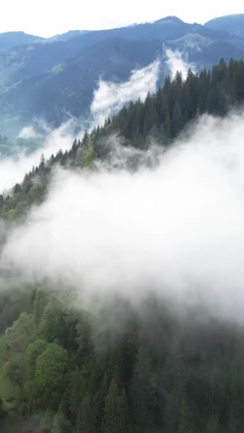 Vertikální video mlhy v horách — Stock video