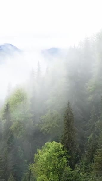 Video vertical de ceață în munți — Videoclip de stoc