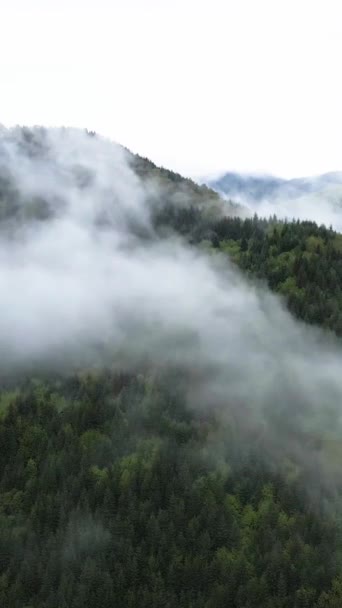 Függőleges videó köd a hegyekben — Stock videók