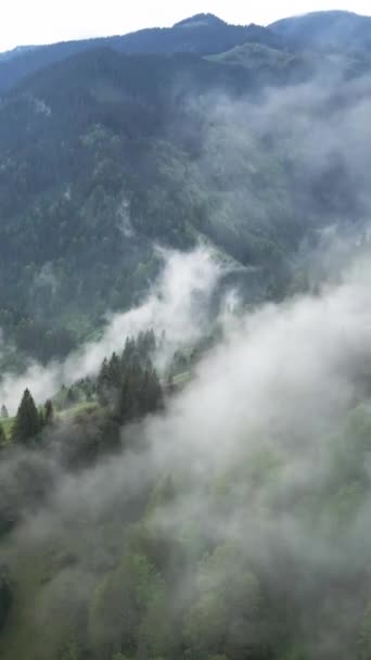 Vídeo vertical de niebla en las montañas — Vídeos de Stock