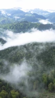 Dağlardaki sisin dikey videosu