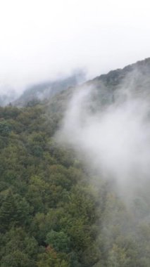 Dağlardaki sisin dikey videosu