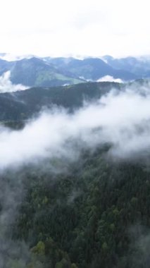 Dağlardaki sisin dikey videosu