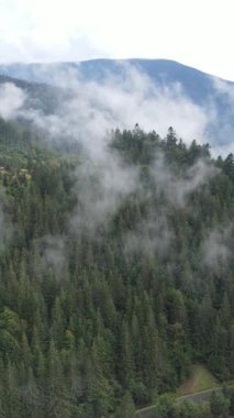 Dağlardaki sisin dikey videosu