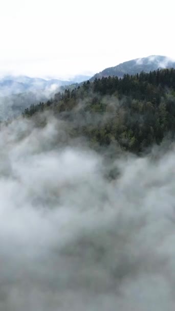 Вертикальне відео туману в горах — стокове відео