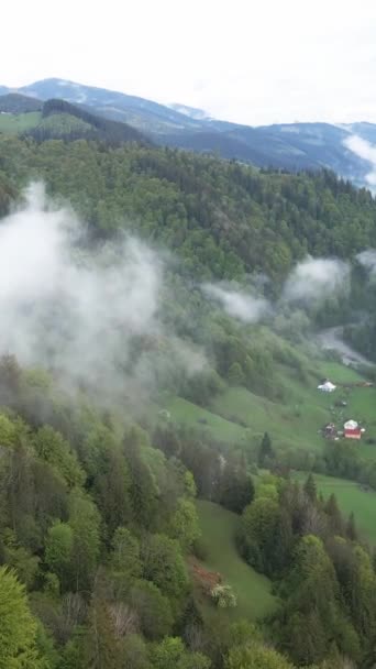 Vídeo vertical de niebla en las montañas — Vídeo de stock