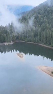Dikey video dağ gölü Synevyr. Sonbaharda Karpat Dağları 'nın havadan görünüşü. Ukrayna