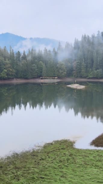 Vertikales Video Bergsee Synevyr. Luftaufnahme der Karpaten im Herbst. Ukraine — Stockvideo