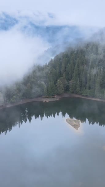 垂直录像山湖Synevyr 。秋天喀尔巴阡山脉的空中景观.乌克兰 — 图库视频影像