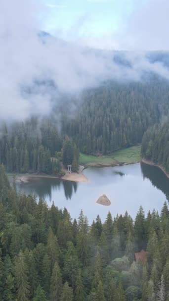 垂直录像山湖Synevyr 。秋天喀尔巴阡山脉的空中景观.乌克兰 — 图库视频影像