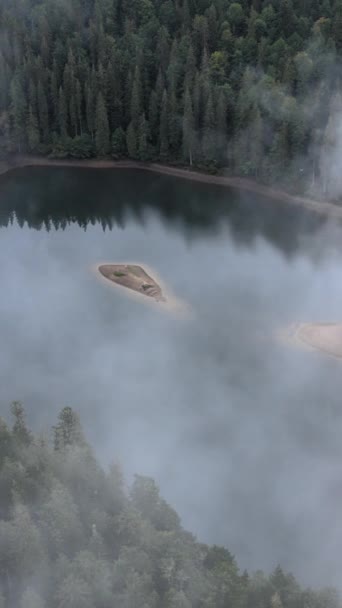 Dikey video dağ gölü Synevyr. Sonbaharda Karpat Dağları 'nın havadan görünüşü. Ukrayna — Stok video