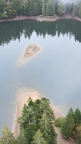 Vertical vídeo montanha lago Synevyr. Vista aérea das Montanhas Cárpatas no outono. Ucrânia — Vídeo de Stock