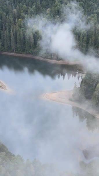 Vertikales Video Bergsee Synevyr. Luftaufnahme der Karpaten im Herbst. Ukraine — Stockvideo