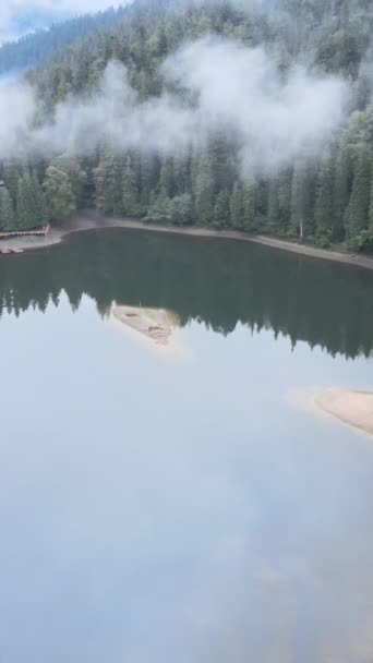 Vertical vídeo montanha lago Synevyr. Vista aérea das Montanhas Cárpatas no outono. Ucrânia — Vídeo de Stock