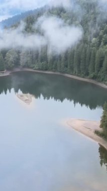 Dikey video dağ gölü Synevyr. Sonbaharda Karpat Dağları 'nın havadan görünüşü. Ukrayna