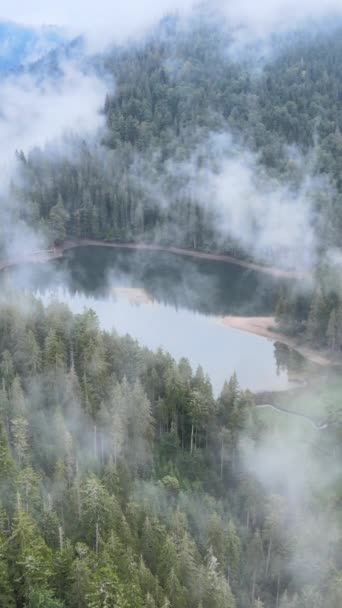 垂直录像山湖Synevyr 。秋天喀尔巴阡山脉的空中景观.乌克兰 — 图库视频影像