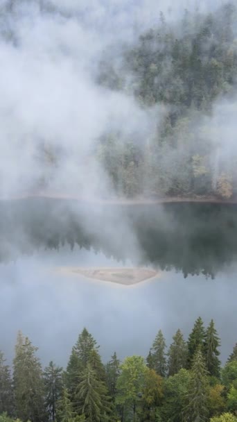 垂直录像山湖Synevyr 。秋天喀尔巴阡山脉的空中景观.乌克兰 — 图库视频影像