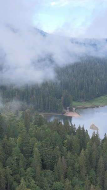 Vertikales Video Bergsee Synevyr. Luftaufnahme der Karpaten im Herbst. Ukraine — Stockvideo