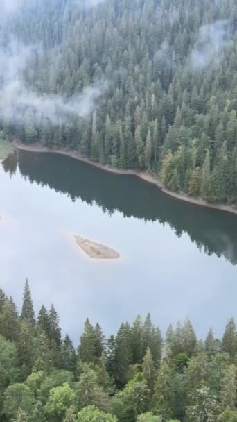 垂直录像山湖Synevyr 。秋天喀尔巴阡山脉的空中景观.乌克兰 — 图库视频影像