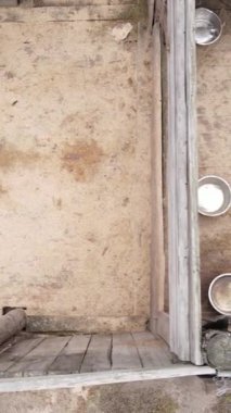 Sokak köpekleri için hava manzaralı bir barınak. Dikey video