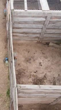 Sokak köpekleri için hava manzaralı bir barınak. Dikey video