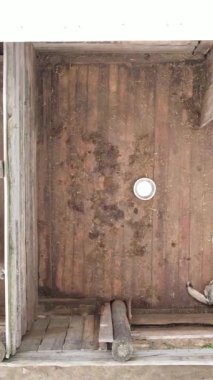 Sokak köpekleri için hava manzaralı bir barınak. Dikey video