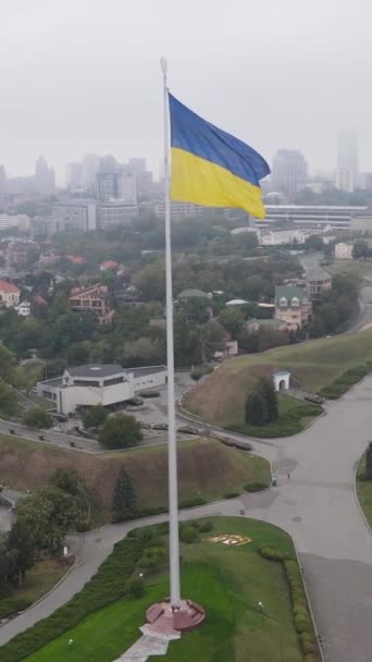 Nationale vlag van Oekraïne overdag. Verticale video — Stockvideo