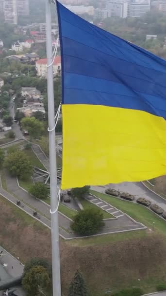 乌克兰国旗在白天升起。垂直录像 — 图库视频影像