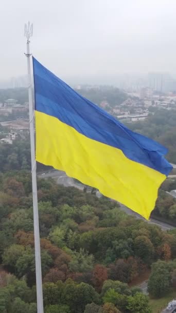 Drapeau national de l'Ukraine par jour. Vidéo verticale — Video