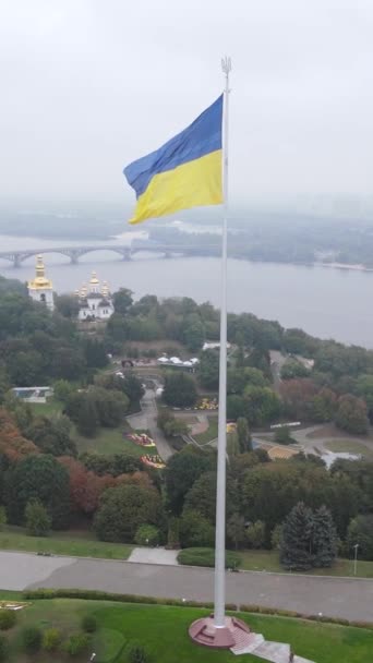 Nationalflagge der Ukraine bei Tag. Vertikales Video — Stockvideo