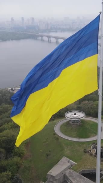 Nationalflagge der Ukraine bei Tag. Vertikales Video — Stockvideo
