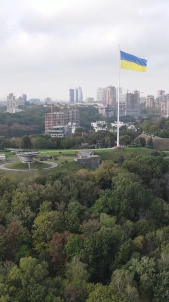 Національний прапор України вдень. Вертикальне відео — стокове відео