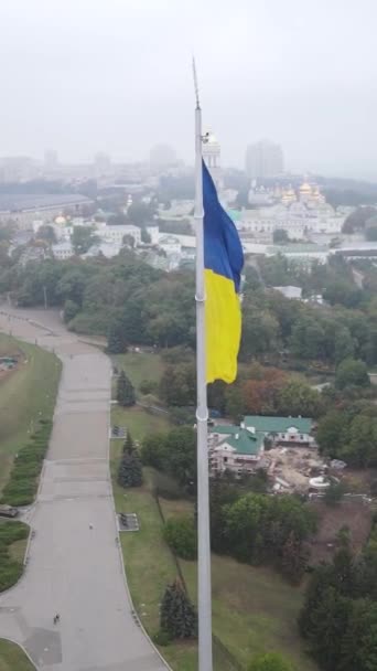 Drapeau national de l'Ukraine par jour. Vidéo verticale — Video