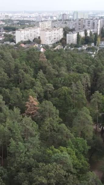 Vista aerea del confine tra la metropoli e la foresta. Video verticale — Video Stock