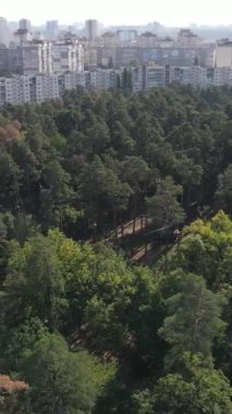 Metropolis ve orman sınırının havadan görüntüsü. Dikey video