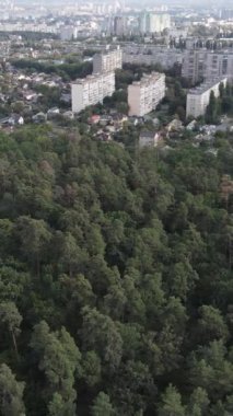 Metropolis ve orman sınırının havadan görüntüsü. Dikey video