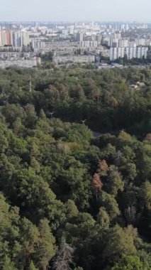 Metropolis ve orman sınırının havadan görüntüsü. Dikey video