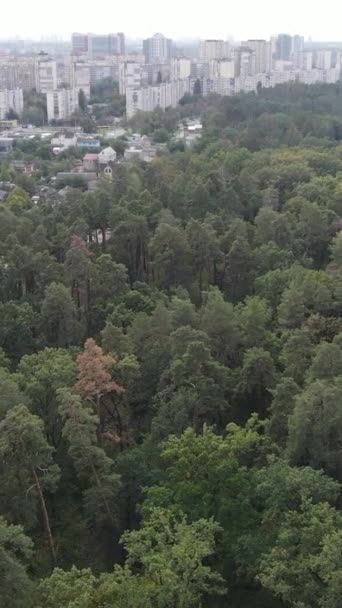 Uitzicht vanuit de lucht op de grens van de metropool en het bos. Verticale video — Stockvideo