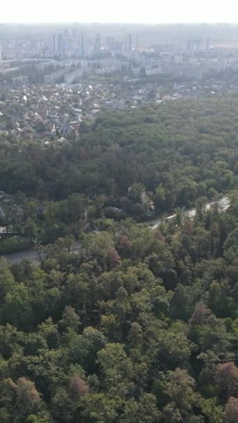 Vista aerea del confine tra la metropoli e la foresta. Video verticale — Video Stock