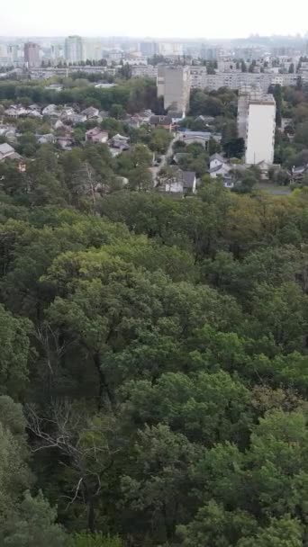 Uitzicht vanuit de lucht op de grens van de metropool en het bos. Verticale video — Stockvideo