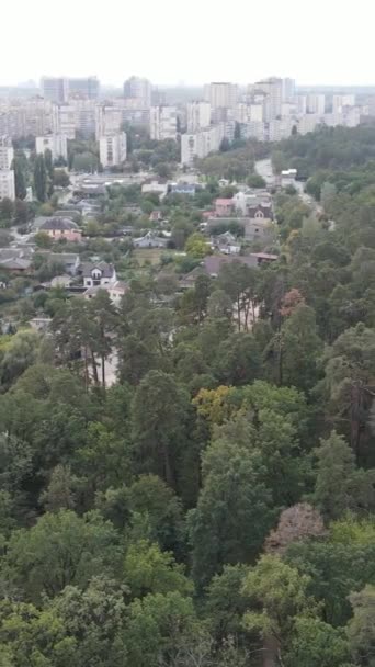 Letecký pohled na hranici metropole a lesa. Svislé video — Stock video