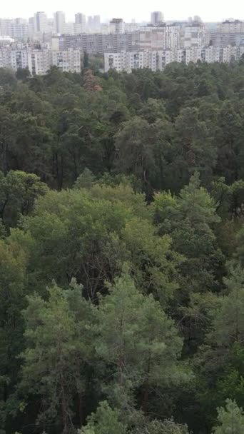 Luftaufnahme der Grenze zwischen Metropole und Wald. Vertikales Video — Stockvideo