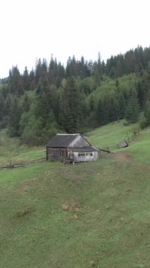 Ukrayna, Karpat Dağları: Dağlarda bir ev. Dikey video