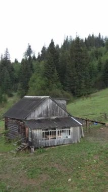Ukrayna, Karpat Dağları: Dağlarda bir ev. Dikey video