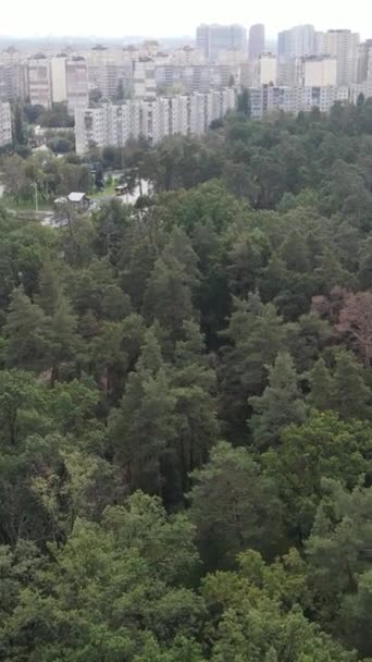 Luftaufnahme der Grenze zwischen Metropole und Wald. Vertikales Video — Stockvideo