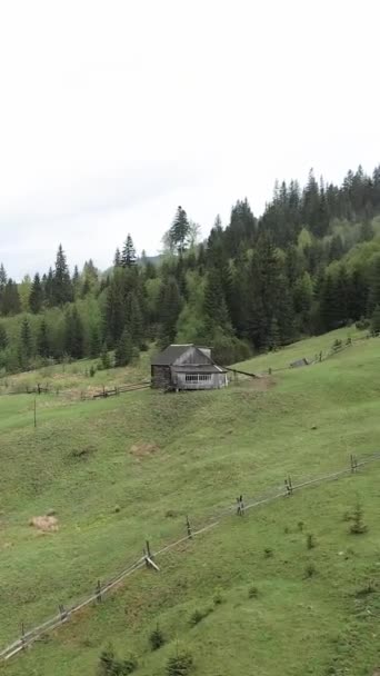 Украина, Карпаты: Дом в горах. Вертикальное видео — стоковое видео