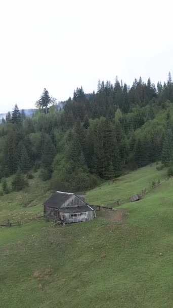 Ucraina, Carpazi: Casa in montagna. Video verticale — Video Stock