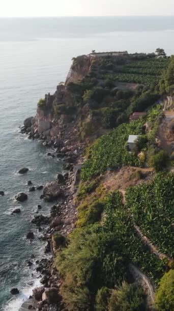 海岸附近的海洋- -海岸海景的空中景观.垂直录像 — 图库视频影像