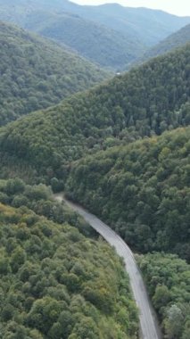 Karpat Dağları. Ukrayna. Dikey video